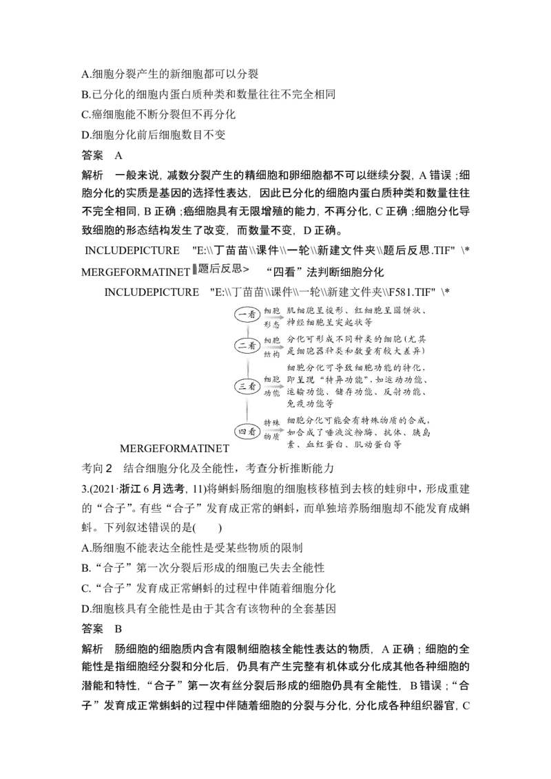 第12讲细胞的分化、衰老和死亡_2024年新高考资料_1.2024一轮复习_2024年高考生物一轮复习讲义（新人教版）_另附1套Word版题库_必修1_第四单元细胞的生命历程