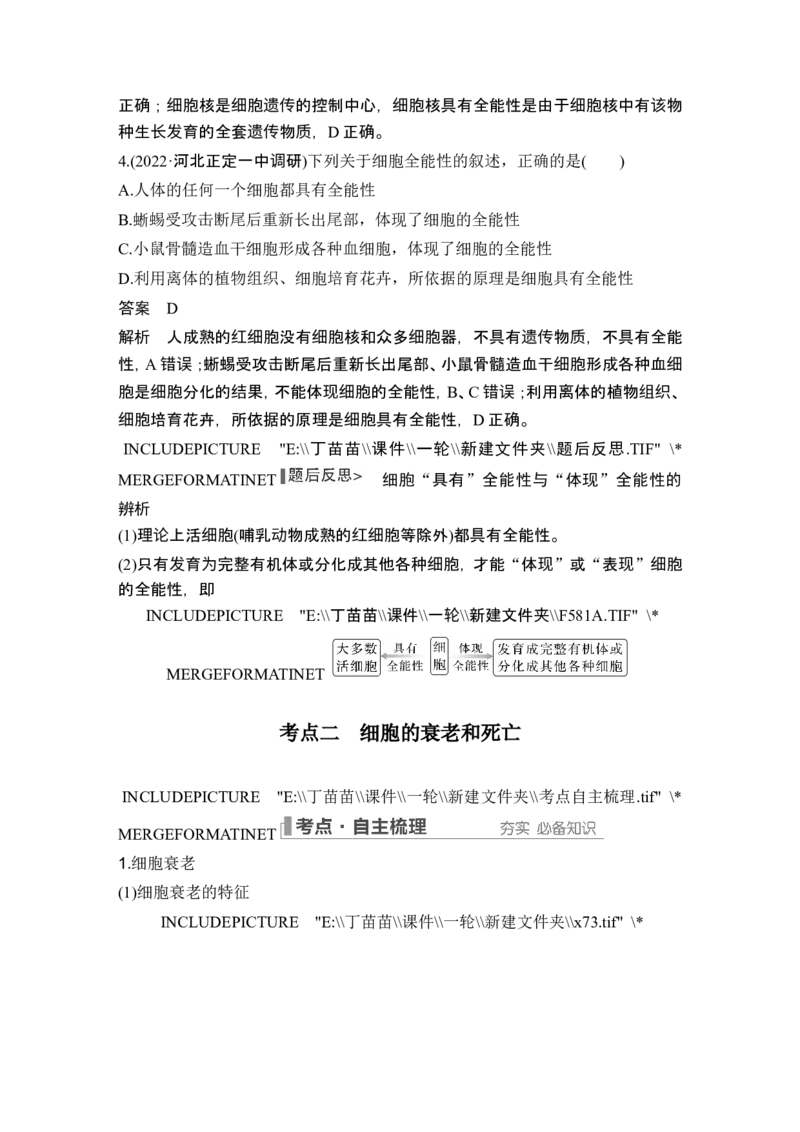 第12讲细胞的分化、衰老和死亡_2024年新高考资料_1.2024一轮复习_2024年高考生物一轮复习讲义（新人教版）_另附1套Word版题库_必修1_第四单元细胞的生命历程