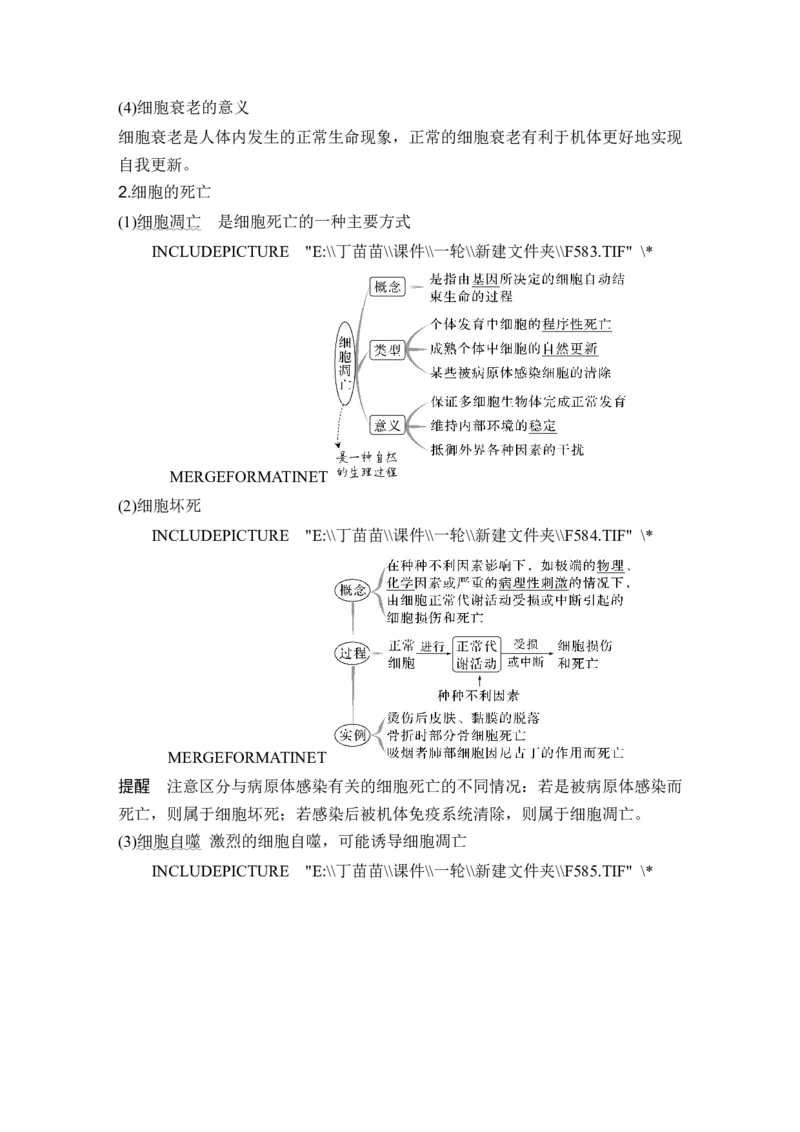 第12讲细胞的分化、衰老和死亡_2024年新高考资料_1.2024一轮复习_2024年高考生物一轮复习讲义（新人教版）_另附1套Word版题库_必修1_第四单元细胞的生命历程