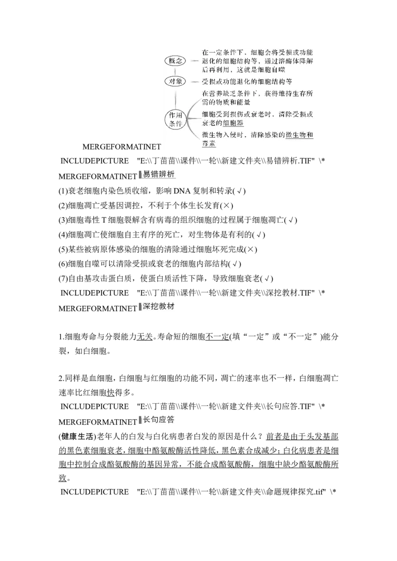 第12讲细胞的分化、衰老和死亡_2024年新高考资料_1.2024一轮复习_2024年高考生物一轮复习讲义（新人教版）_另附1套Word版题库_必修1_第四单元细胞的生命历程