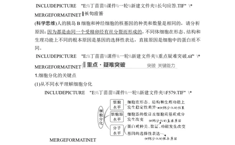 第12讲细胞的分化、衰老和死亡_2024年新高考资料_1.2024一轮复习_2024年高考生物一轮复习讲义（新人教版）_另附1套Word版题库_必修1_第四单元细胞的生命历程