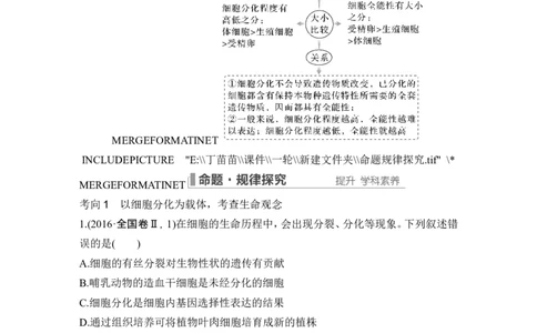 第12讲细胞的分化、衰老和死亡_2024年新高考资料_1.2024一轮复习_2024年高考生物一轮复习讲义（新人教版）_另附1套Word版题库_必修1_第四单元细胞的生命历程