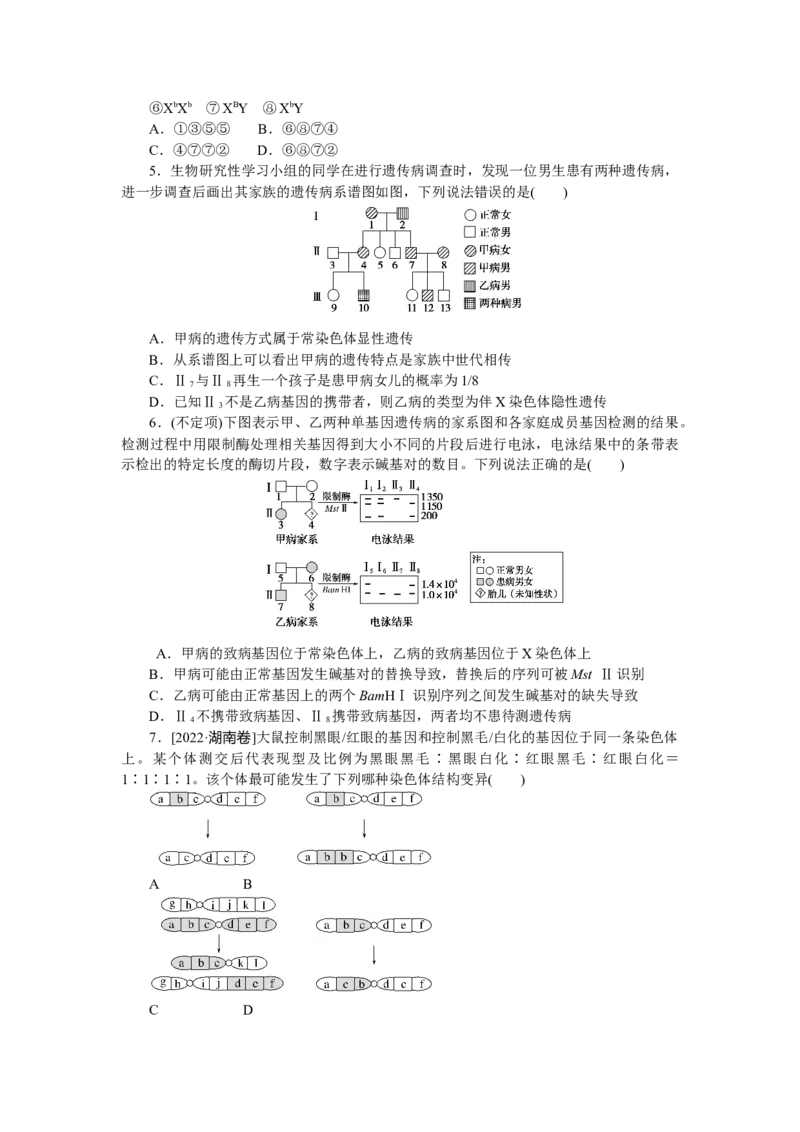 专练57　人类遗传病图像分析与概率计算_新高考复习资料_2023年新高考复习资料_专项复习_2023《微专题&middot;小练习》&middot;生物&middot;新教材&middot;XL-7