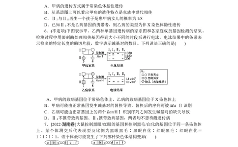 专练57　人类遗传病图像分析与概率计算_新高考复习资料_2023年新高考复习资料_专项复习_2023《微专题&middot;小练习》&middot;生物&middot;新教材&middot;XL-7