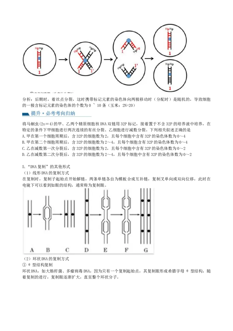 第21讲DNA分子的结构、复制与基因的本质（讲义）（学生版）_2024年新高考资料_1.2024一轮复习_2024年高考生物一轮复习讲练测（新教材新高考）