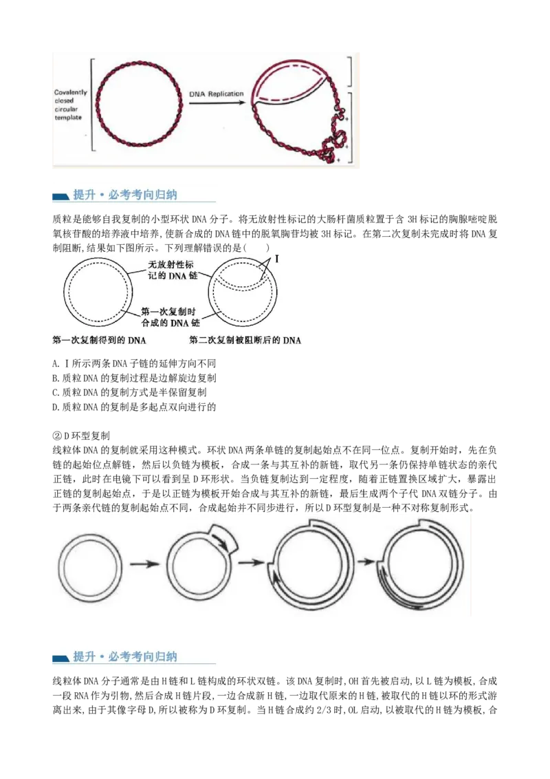 第21讲DNA分子的结构、复制与基因的本质（讲义）（学生版）_2024年新高考资料_1.2024一轮复习_2024年高考生物一轮复习讲练测（新教材新高考）