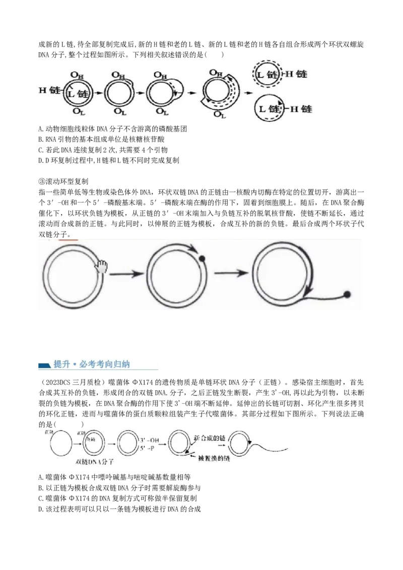 第21讲DNA分子的结构、复制与基因的本质（讲义）（学生版）_2024年新高考资料_1.2024一轮复习_2024年高考生物一轮复习讲练测（新教材新高考）