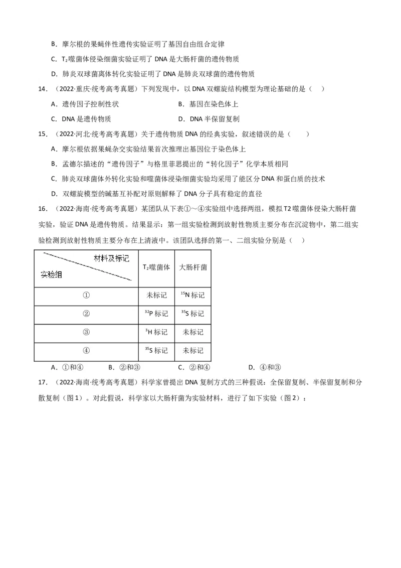 第21讲DNA分子的结构、复制与基因的本质（讲义）（学生版）_2024年新高考资料_1.2024一轮复习_2024年高考生物一轮复习讲练测（新教材新高考）