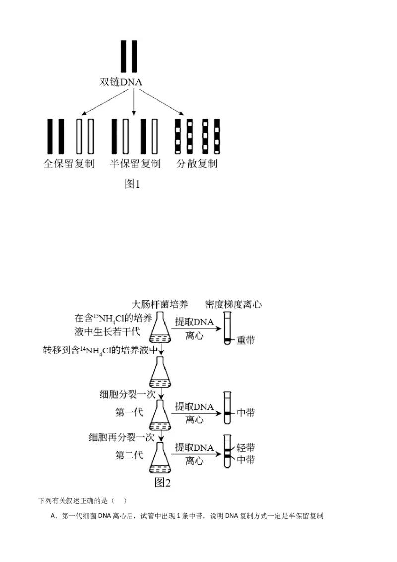第21讲DNA分子的结构、复制与基因的本质（讲义）（学生版）_2024年新高考资料_1.2024一轮复习_2024年高考生物一轮复习讲练测（新教材新高考）