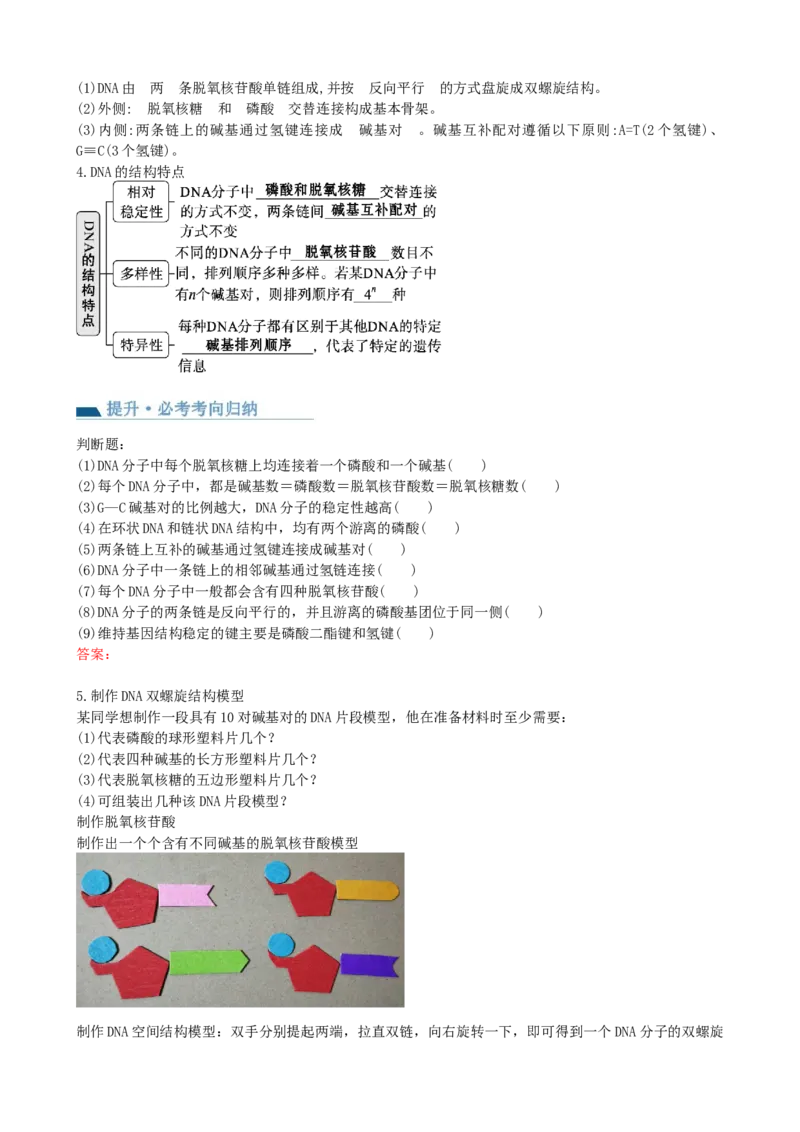 第21讲DNA分子的结构、复制与基因的本质（讲义）（学生版）_2024年新高考资料_1.2024一轮复习_2024年高考生物一轮复习讲练测（新教材新高考）