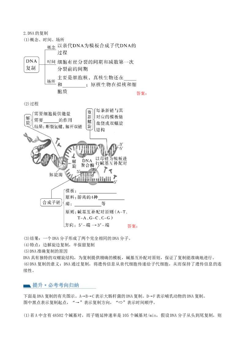 第21讲DNA分子的结构、复制与基因的本质（讲义）（学生版）_2024年新高考资料_1.2024一轮复习_2024年高考生物一轮复习讲练测（新教材新高考）