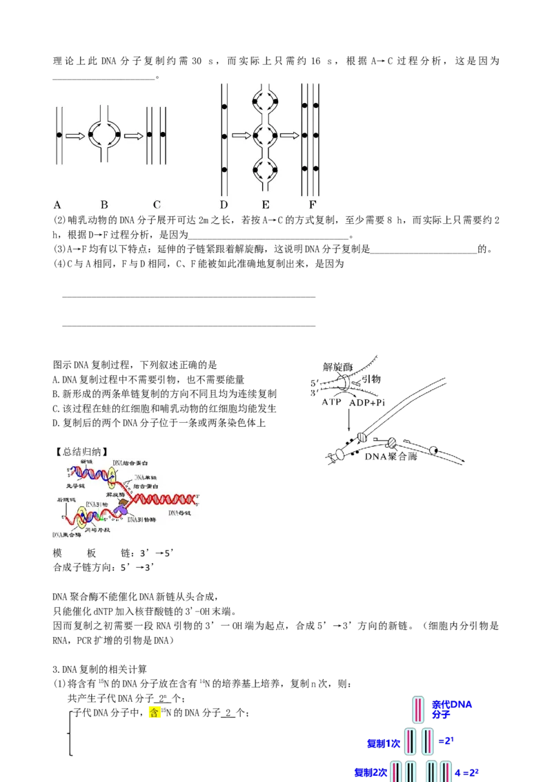 第21讲DNA分子的结构、复制与基因的本质（讲义）（学生版）_2024年新高考资料_1.2024一轮复习_2024年高考生物一轮复习讲练测（新教材新高考）