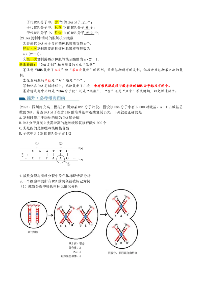 第21讲DNA分子的结构、复制与基因的本质（讲义）（学生版）_2024年新高考资料_1.2024一轮复习_2024年高考生物一轮复习讲练测（新教材新高考）