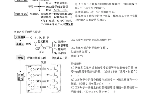 第21讲DNA分子的结构、复制与基因的本质（讲义）（学生版）_2024年新高考资料_1.2024一轮复习_2024年高考生物一轮复习讲练测（新教材新高考）