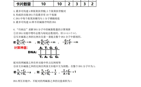 第21讲DNA分子的结构、复制与基因的本质（讲义）（学生版）_2024年新高考资料_1.2024一轮复习_2024年高考生物一轮复习讲练测（新教材新高考）