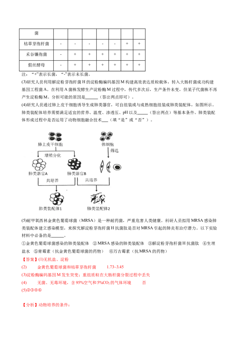 第41讲动物细胞工程（练习）（解析版）_2024年新高考资料_1.2024一轮复习_2024年高考生物一轮复习讲练测（新教材新高考）