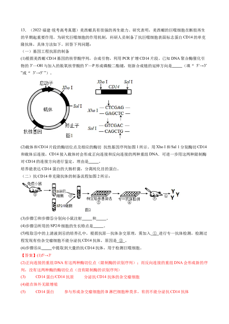 第41讲动物细胞工程（练习）（解析版）_2024年新高考资料_1.2024一轮复习_2024年高考生物一轮复习讲练测（新教材新高考）