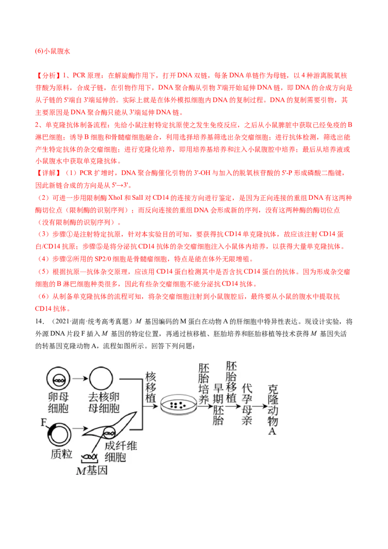 第41讲动物细胞工程（练习）（解析版）_2024年新高考资料_1.2024一轮复习_2024年高考生物一轮复习讲练测（新教材新高考）