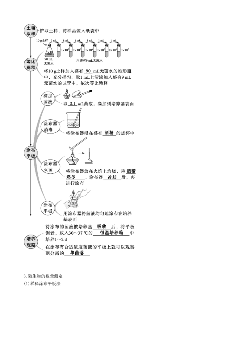 第39讲微生物的培养技术和应用（讲义）（学生版）_2024年新高考资料_1.2024一轮复习_2024年高考生物一轮复习讲练测（新教材新高考）