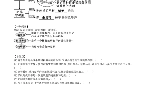 第39讲微生物的培养技术和应用（讲义）（学生版）_2024年新高考资料_1.2024一轮复习_2024年高考生物一轮复习讲练测（新教材新高考）