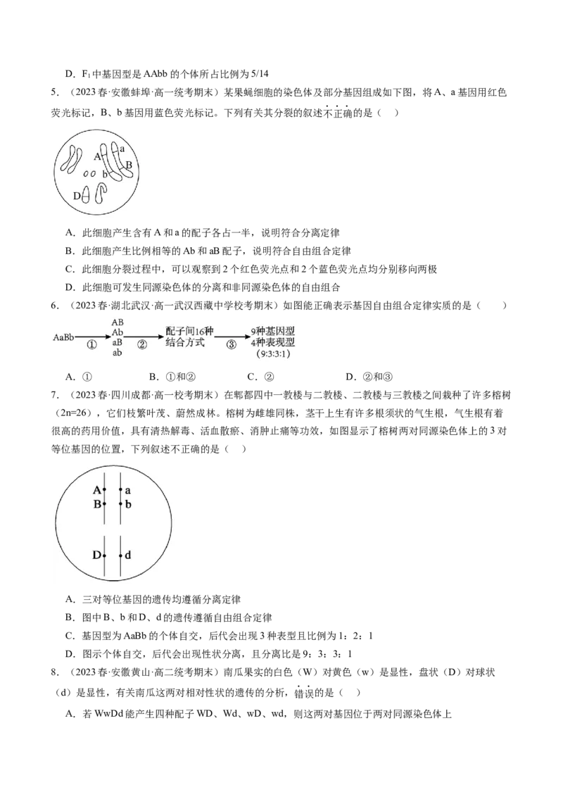 第17.2讲基因的自由组合定律相关题型（练习）（原卷版）_2024年新高考资料_1.2024一轮复习_2024年高考生物一轮复习讲练测（新教材新高考）