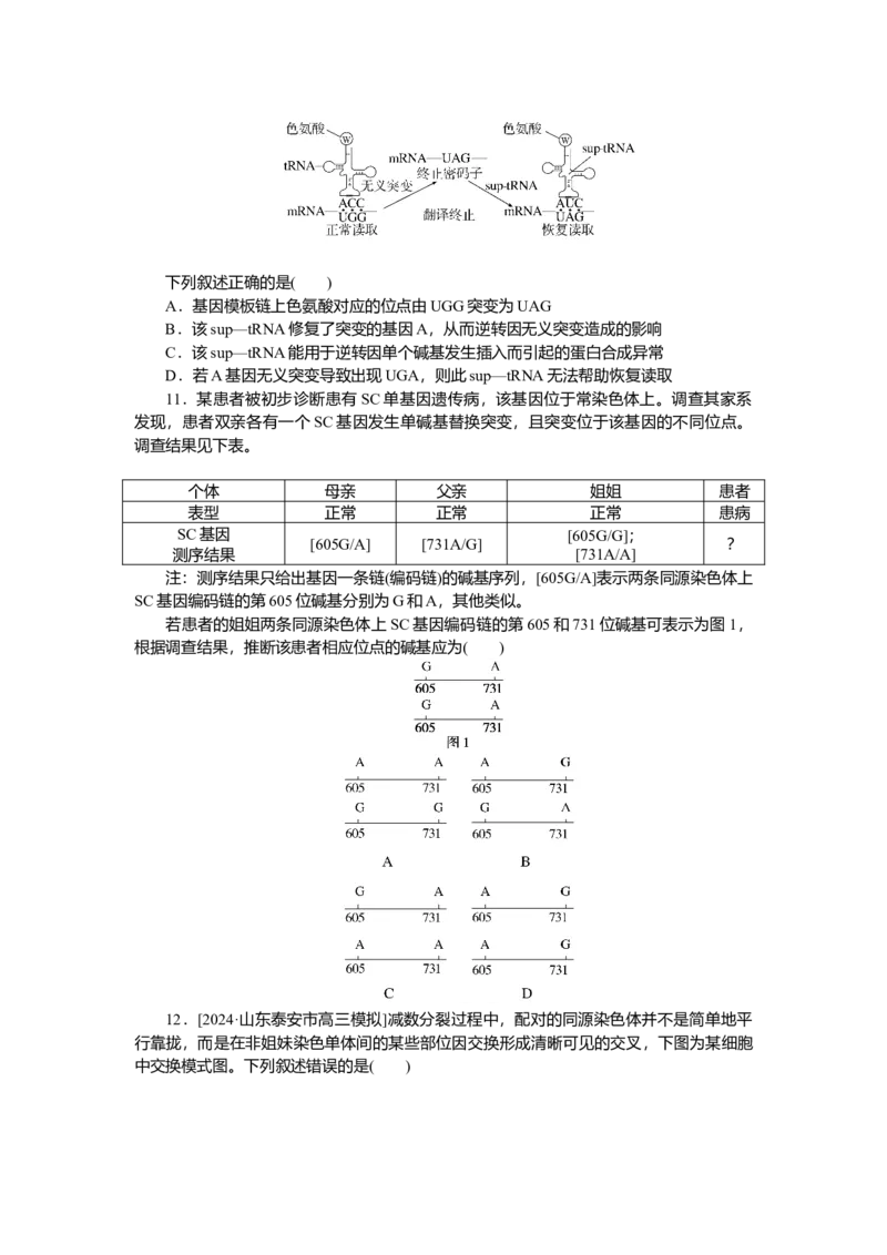 2025届高中生物学一轮复习检测案23　基因突变与基因重组（含解析）_2025年新高考资料_一轮复习_2025届高中生物学一轮复习分层复习检测(含解析)