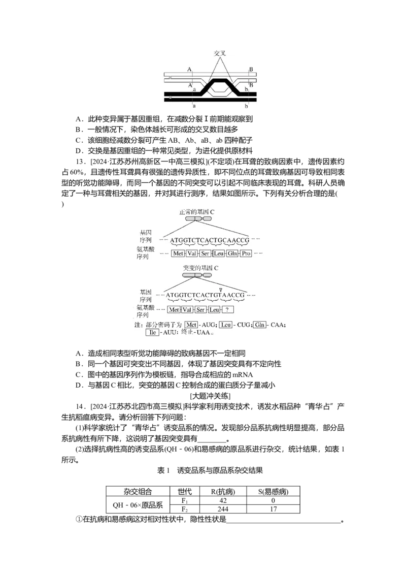2025届高中生物学一轮复习检测案23　基因突变与基因重组（含解析）_2025年新高考资料_一轮复习_2025届高中生物学一轮复习分层复习检测(含解析)