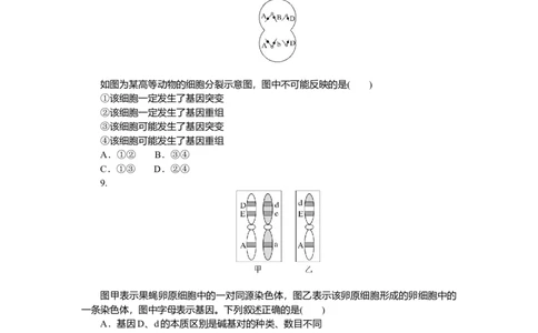 2025届高中生物学一轮复习检测案23　基因突变与基因重组（含解析）_2025年新高考资料_一轮复习_2025届高中生物学一轮复习分层复习检测(含解析)