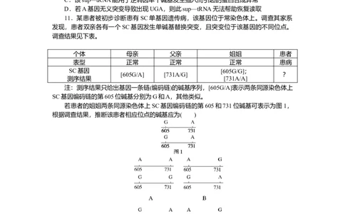 2025届高中生物学一轮复习检测案23　基因突变与基因重组（含解析）_2025年新高考资料_一轮复习_2025届高中生物学一轮复习分层复习检测(含解析)