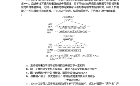 2025届高中生物学一轮复习检测案23　基因突变与基因重组（含解析）_2025年新高考资料_一轮复习_2025届高中生物学一轮复习分层复习检测(含解析)