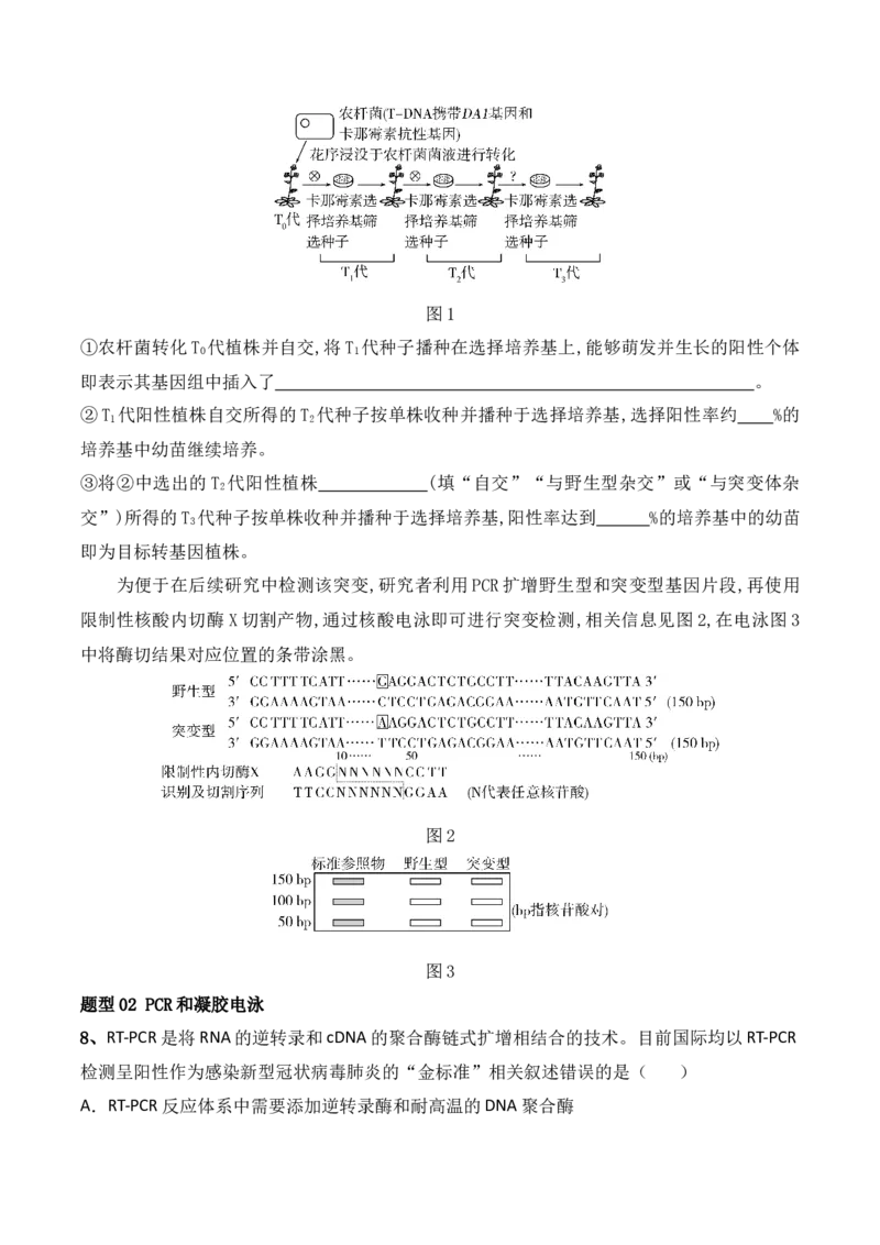 第18讲基因工程（讲义）原卷版_2024年新高考资料_2.2024二轮复习_2024年高考生物二轮复习讲练测（新教材新高考）