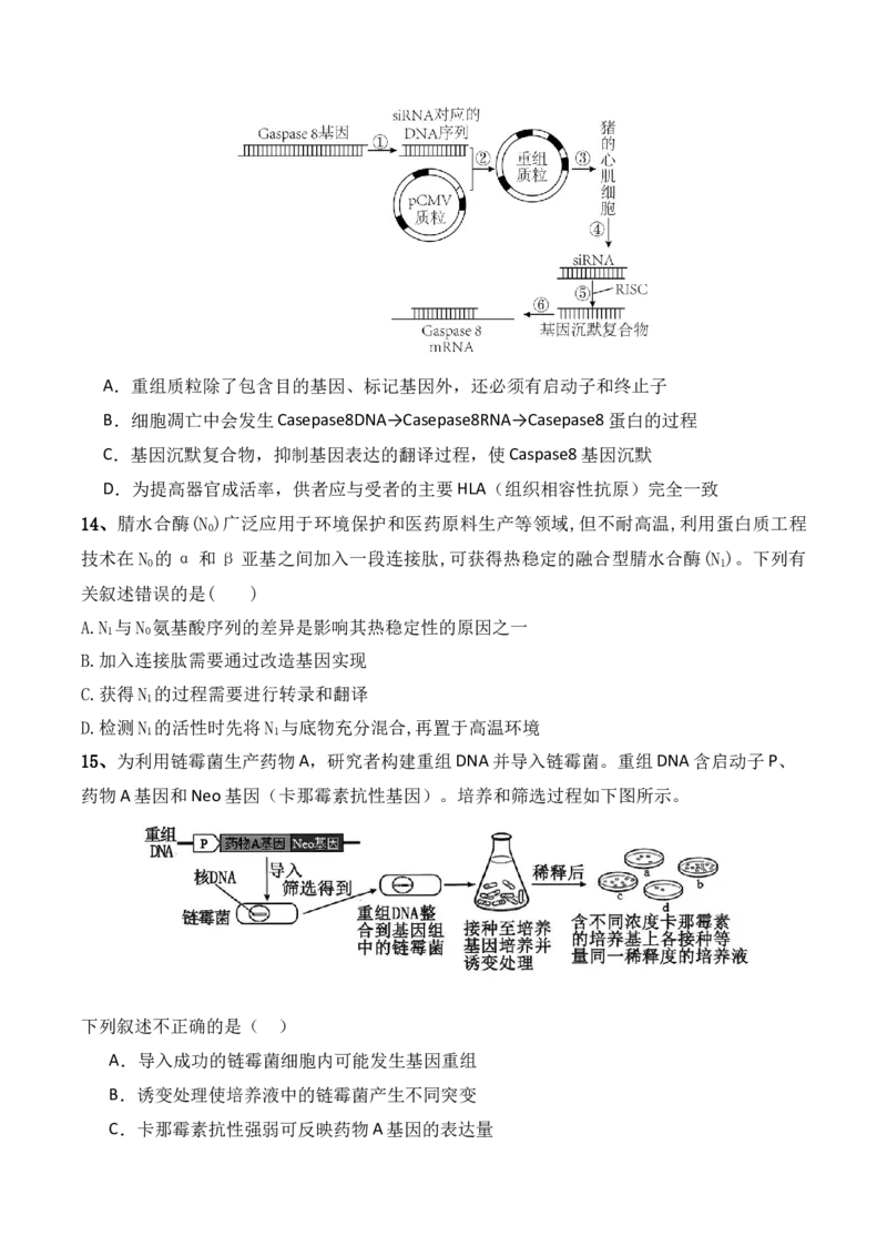 第18讲基因工程（讲义）原卷版_2024年新高考资料_2.2024二轮复习_2024年高考生物二轮复习讲练测（新教材新高考）