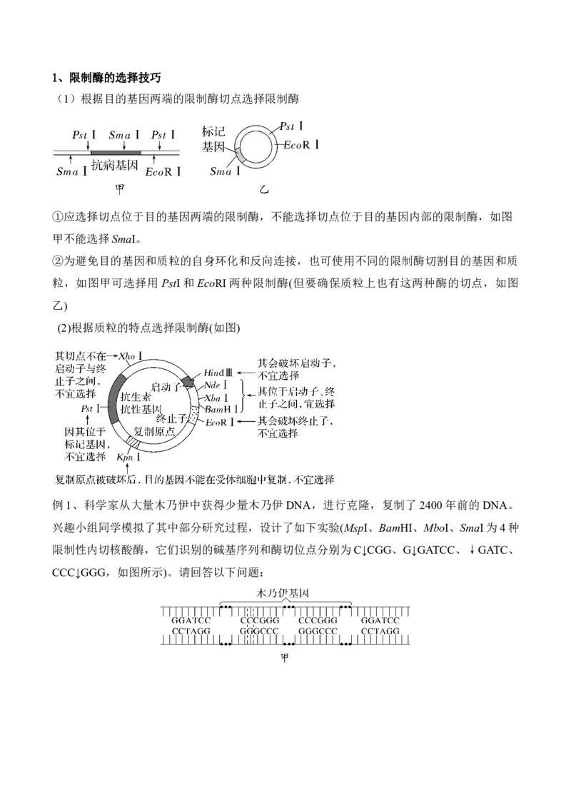 第18讲基因工程（讲义）原卷版_2024年新高考资料_2.2024二轮复习_2024年高考生物二轮复习讲练测（新教材新高考）