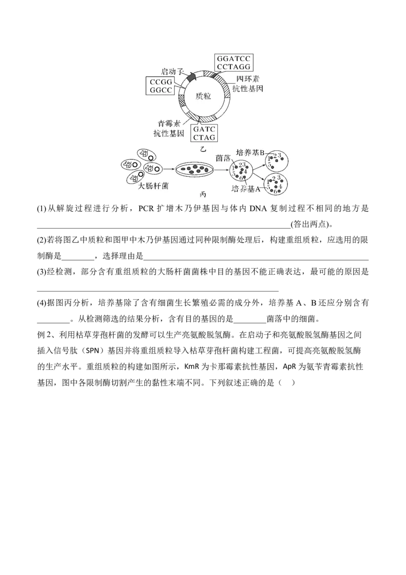 第18讲基因工程（讲义）原卷版_2024年新高考资料_2.2024二轮复习_2024年高考生物二轮复习讲练测（新教材新高考）