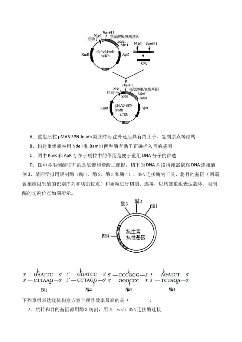 第18讲基因工程（讲义）原卷版_2024年新高考资料_2.2024二轮复习_2024年高考生物二轮复习讲练测（新教材新高考）