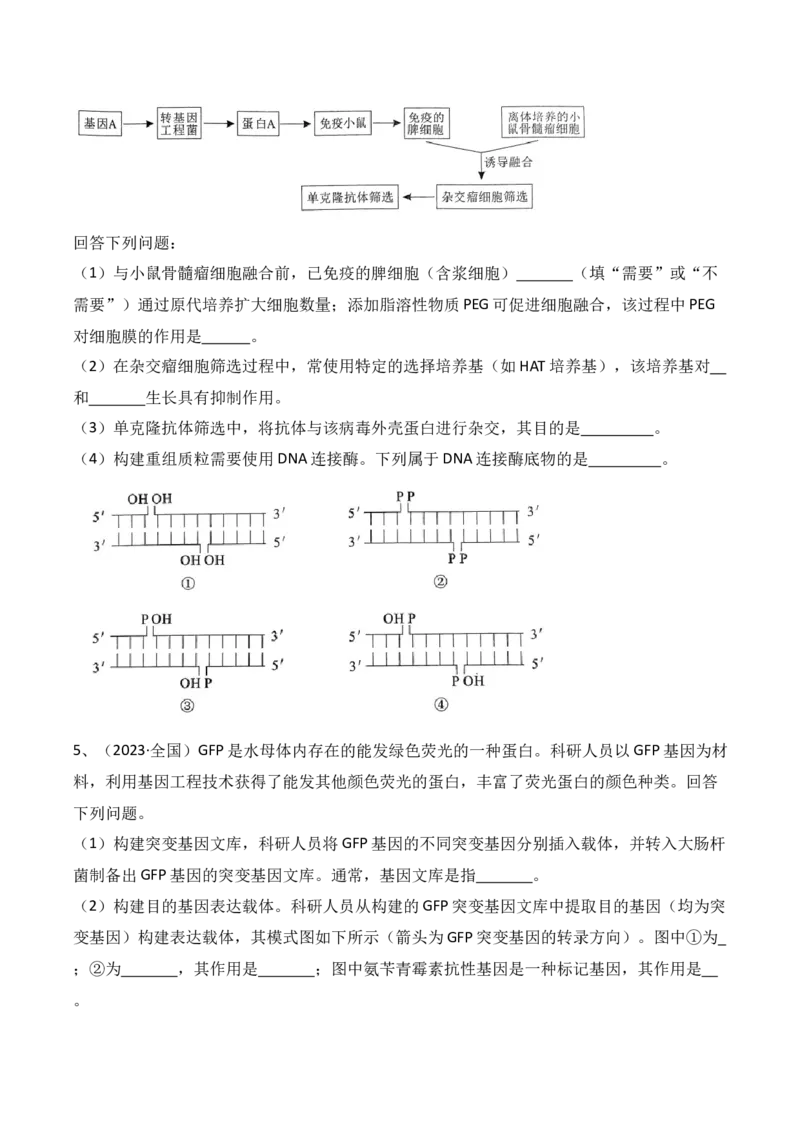 第18讲基因工程（讲义）原卷版_2024年新高考资料_2.2024二轮复习_2024年高考生物二轮复习讲练测（新教材新高考）