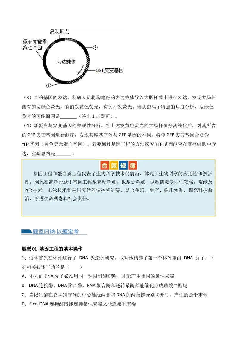 第18讲基因工程（讲义）原卷版_2024年新高考资料_2.2024二轮复习_2024年高考生物二轮复习讲练测（新教材新高考）