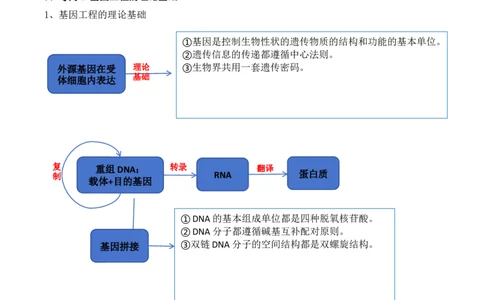 第18讲基因工程（讲义）原卷版_2024年新高考资料_2.2024二轮复习_2024年高考生物二轮复习讲练测（新教材新高考）