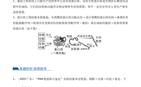 第18讲基因工程（讲义）原卷版_2024年新高考资料_2.2024二轮复习_2024年高考生物二轮复习讲练测（新教材新高考）