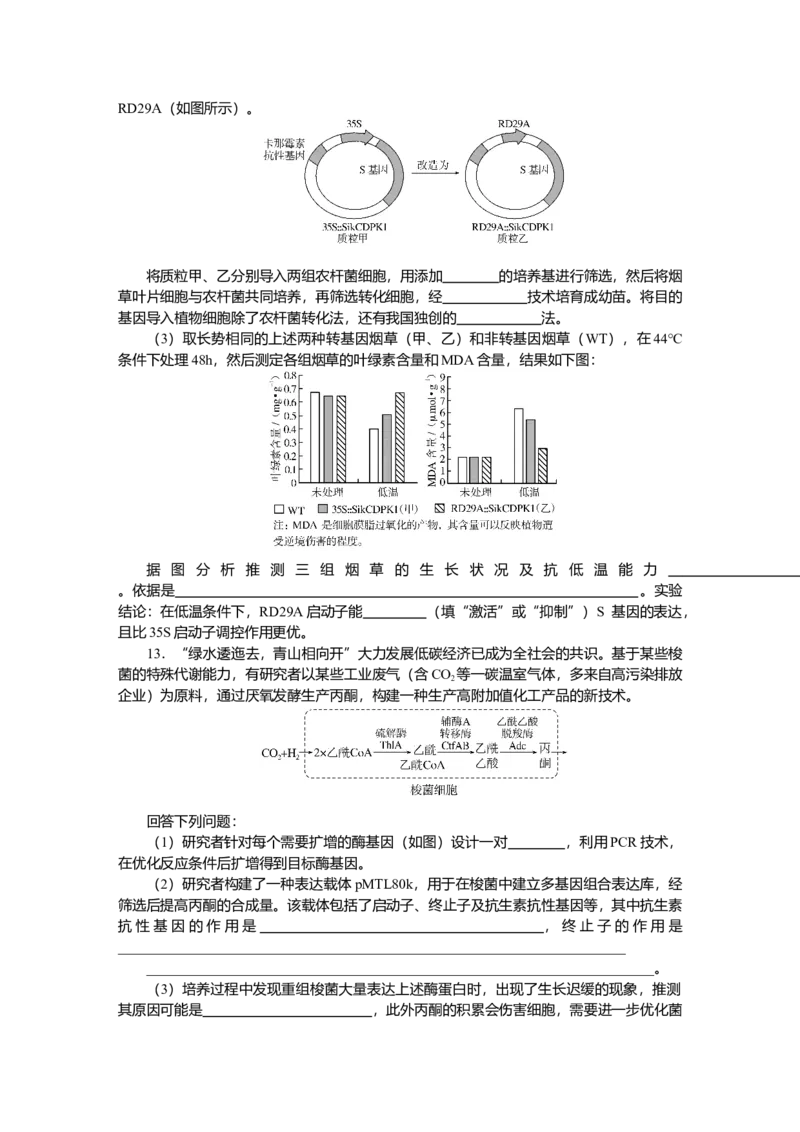 2025届高中生物学一轮复习检测案43　基因工程及生物技术的安全性与伦理问题（含解析）_2025年新高考资料_一轮复习_2025届高中生物学一轮复习分层复习检测(含解析)