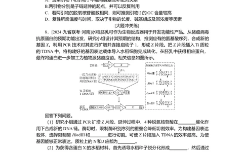 2025届高中生物学一轮复习检测案43　基因工程及生物技术的安全性与伦理问题（含解析）_2025年新高考资料_一轮复习_2025届高中生物学一轮复习分层复习检测(含解析)