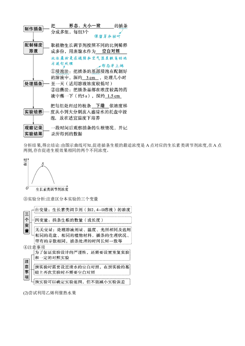 第32.2讲其他植物激素、植物生长调节剂的应用、环境因素参与调节植物的生命活动（讲义）（学生版）_2024年新高考资料_1.2024一轮复习_2024年高考生物一轮复习讲练测（新教材新高考）