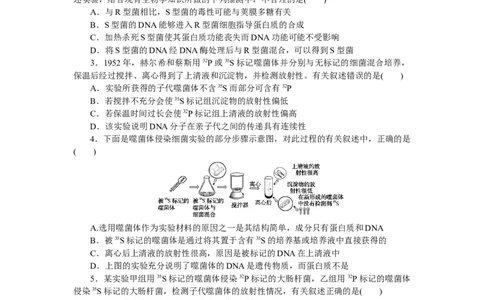 专练40　人类对遗传物质探索过程的实验_通用版（老高考）复习资料_2023年复习资料_专项复习_2023《微专题&middot;小练习》&middot;生物