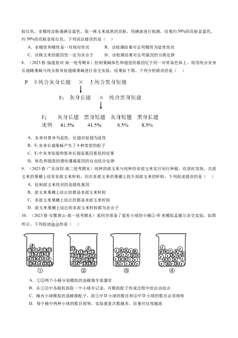 第17.1讲基因的自由组合定律（练习）（原卷版）_2024年新高考资料_1.2024一轮复习_2024年高考生物一轮复习讲练测（新教材新高考）