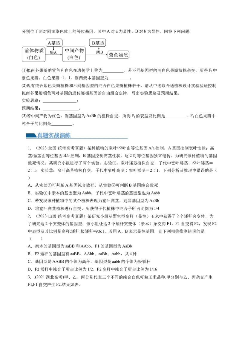 第17.1讲基因的自由组合定律（练习）（原卷版）_2024年新高考资料_1.2024一轮复习_2024年高考生物一轮复习讲练测（新教材新高考）