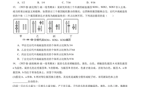 第17.1讲基因的自由组合定律（练习）（原卷版）_2024年新高考资料_1.2024一轮复习_2024年高考生物一轮复习讲练测（新教材新高考）