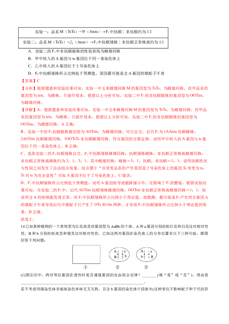 第19讲遗传综合实验分析（练习）（解析版）_2024年新高考资料_1.2024一轮复习_2024年高考生物一轮复习讲练测（新教材新高考）