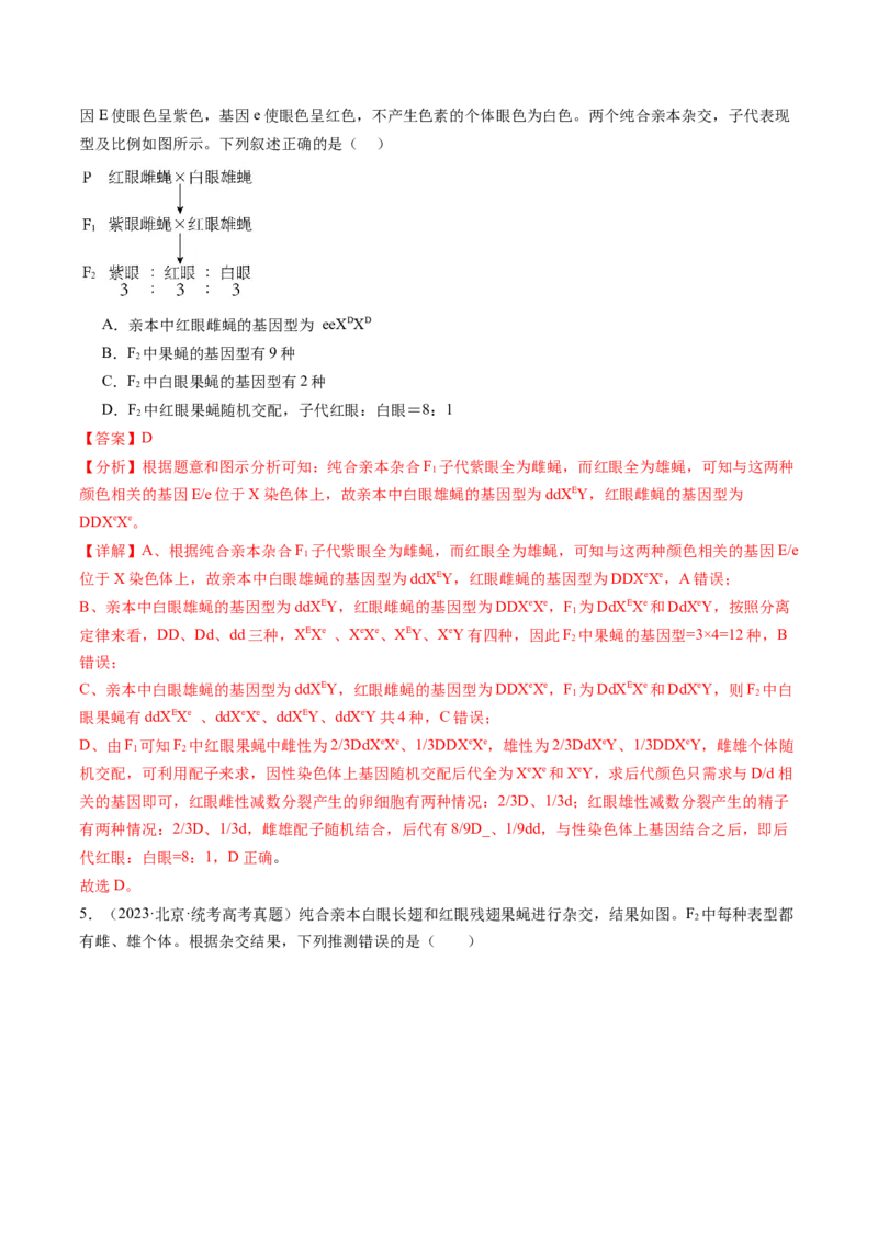 第19讲遗传综合实验分析（练习）（解析版）_2024年新高考资料_1.2024一轮复习_2024年高考生物一轮复习讲练测（新教材新高考）