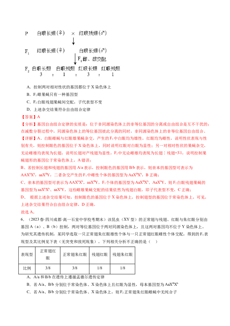 第19讲遗传综合实验分析（练习）（解析版）_2024年新高考资料_1.2024一轮复习_2024年高考生物一轮复习讲练测（新教材新高考）