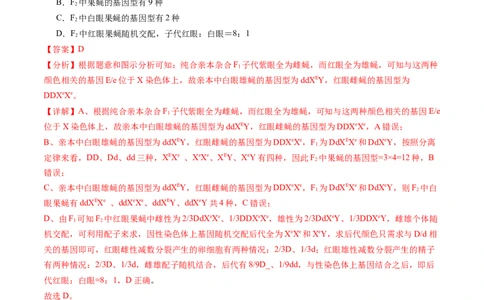 第19讲遗传综合实验分析（练习）（解析版）_2024年新高考资料_1.2024一轮复习_2024年高考生物一轮复习讲练测（新教材新高考）